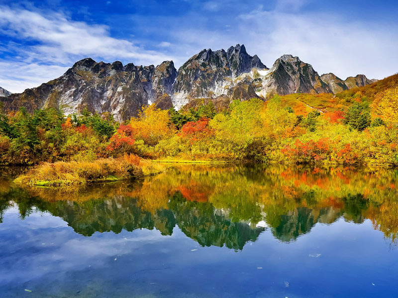 この文章はダミーです。